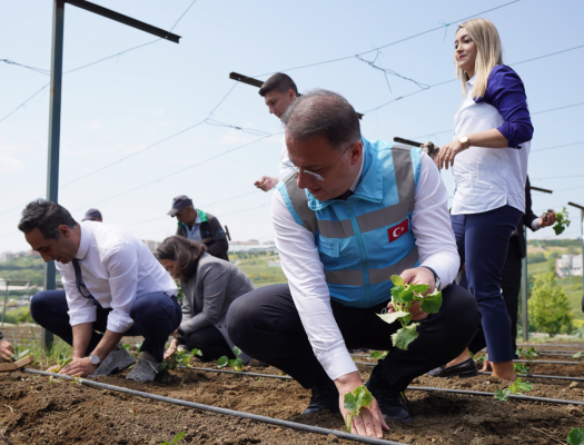 Ekran Resmi 2024-06-26 12.34.05