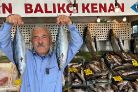 Kenan Balcı