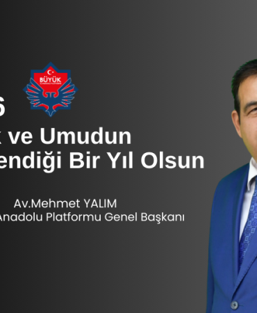 mehmet yalim